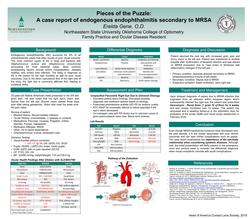 Pieces of the Puzzle-A case report of endogenous endophthalmitis secondary to MRS